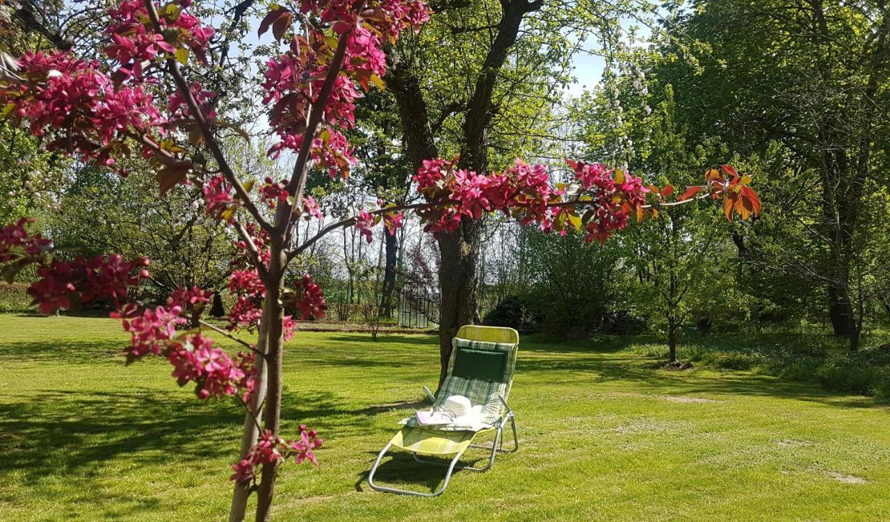 Folwark Goscino-Dwor Bed and Breakfast Exteriör bild